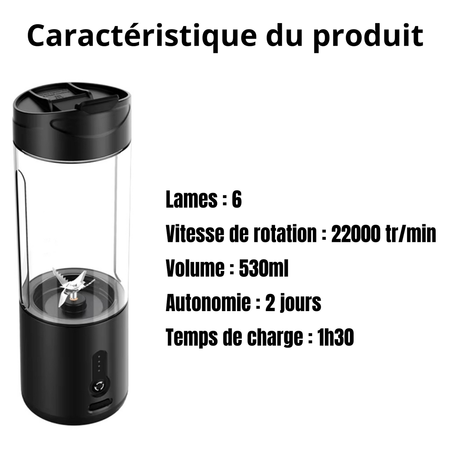 Mixeur électrique portable